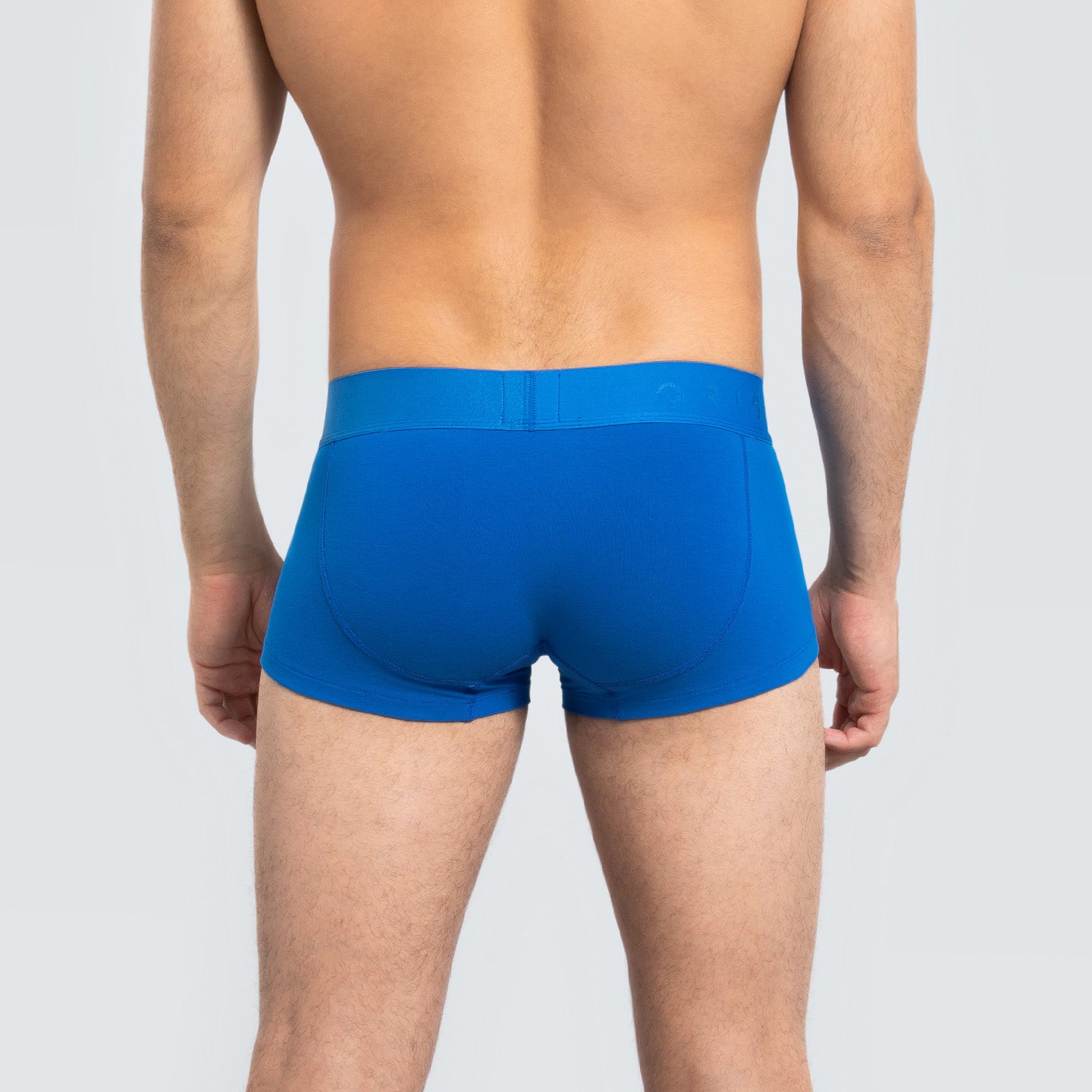 EASY TRUNK · Blue Wave